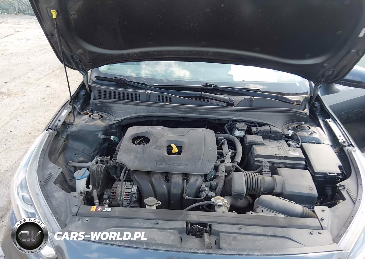 2019 Kia Forte Lxs VIN:3KPF24AD2KE126755 - 10