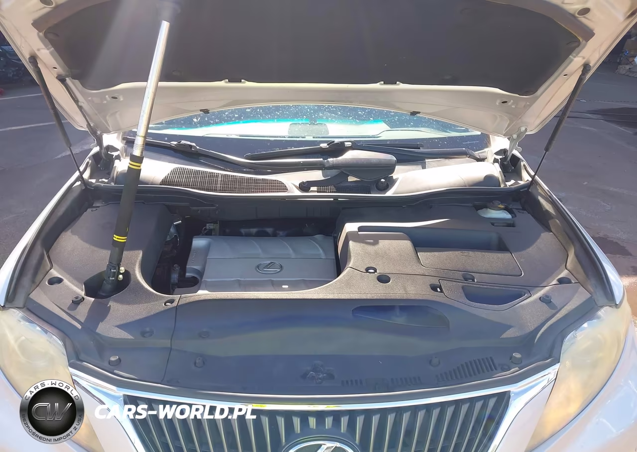 2011 Lexus Rx 350 VIN:JTJZK1BA3B2005047 - 10