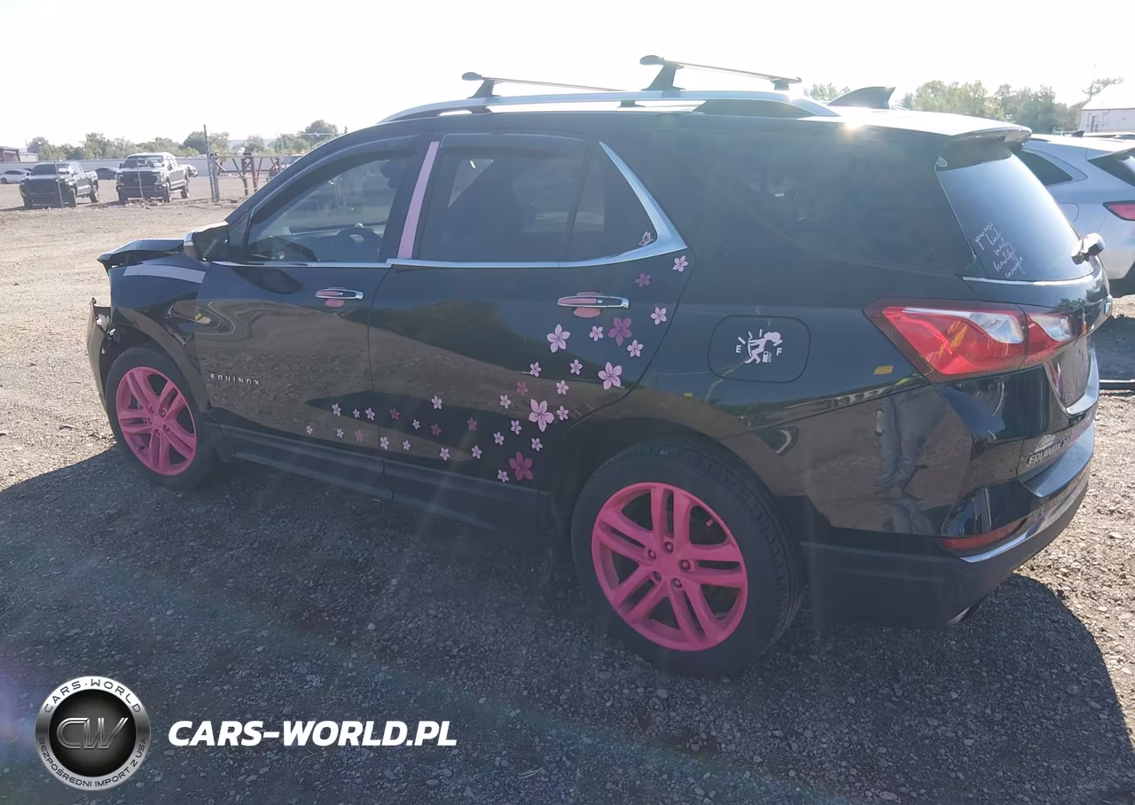 2019 Chevrolet Equinox Premier VIN:2GNAXYEX5K6142575 - 3