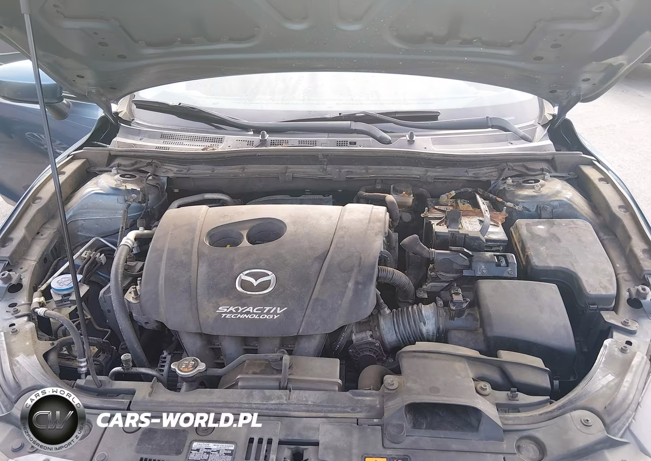 2014 Mazda Mazda3 I Sport VIN:JM1BM1U73E1169120 - 10