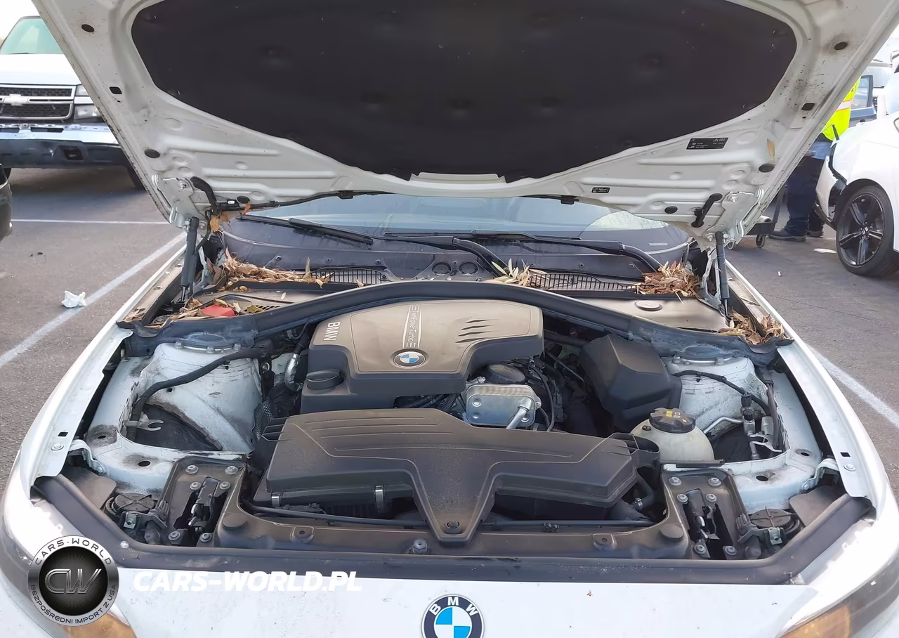 2016 BMW 228I VIN:WBA1F9C51GV742206 - 10