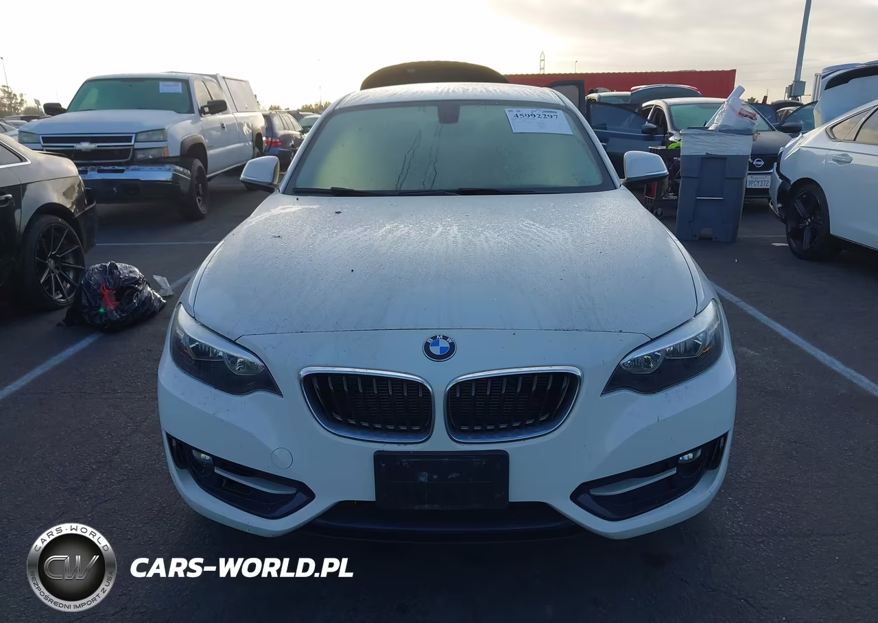 2016 BMW 228I VIN:WBA1F9C51GV742206 - 12