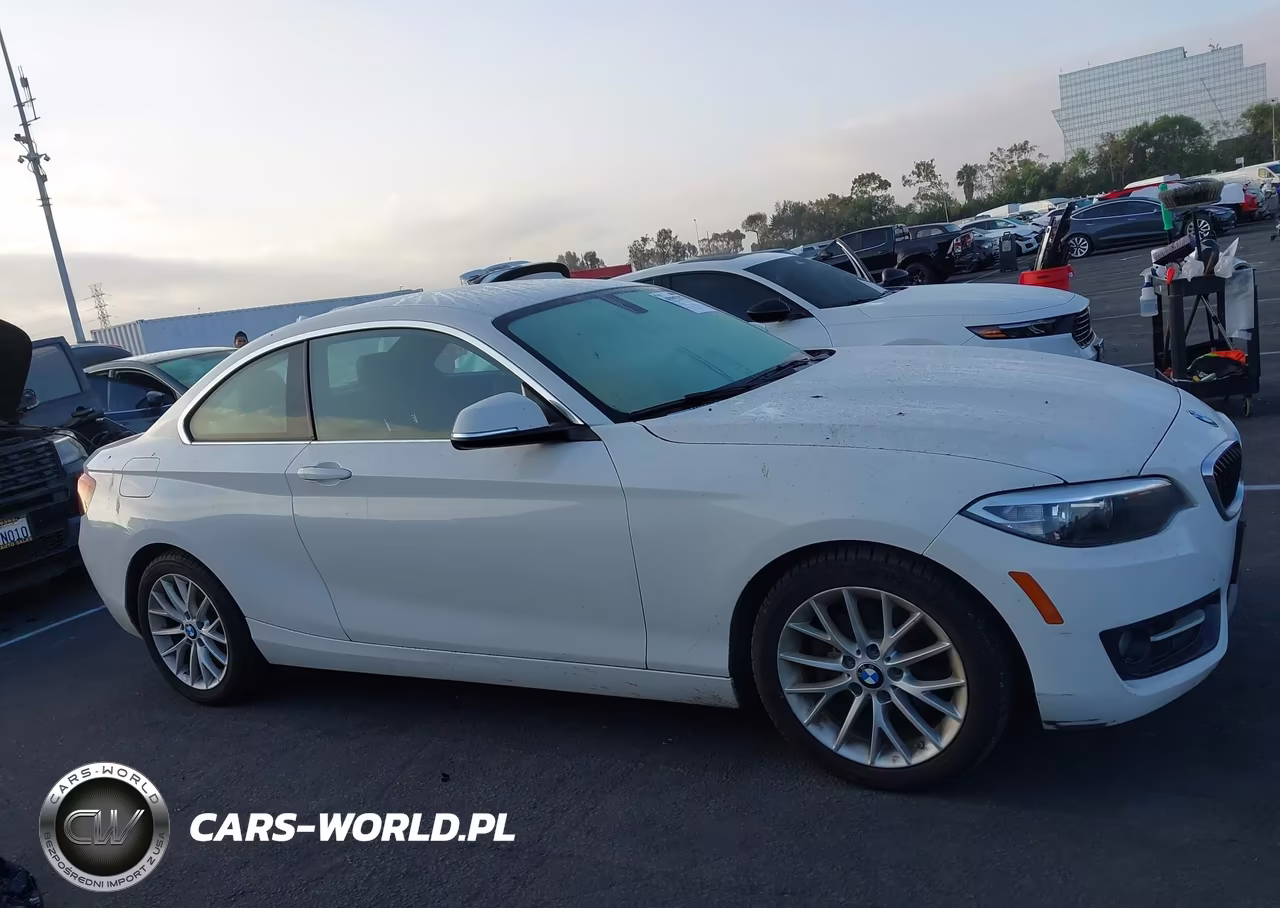 2016 BMW 228I VIN:WBA1F9C51GV742206 - 13