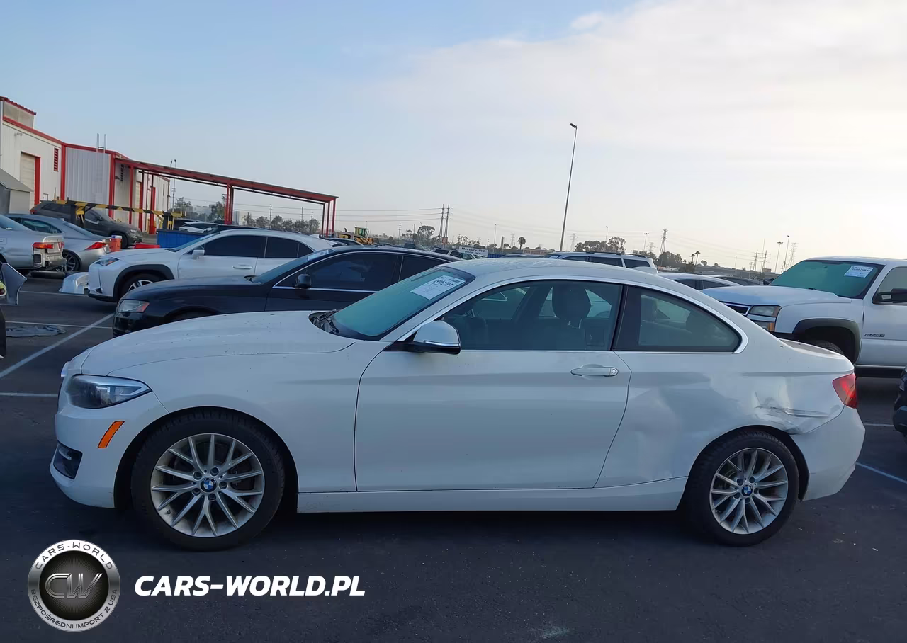 2016 BMW 228I VIN:WBA1F9C51GV742206 - 14