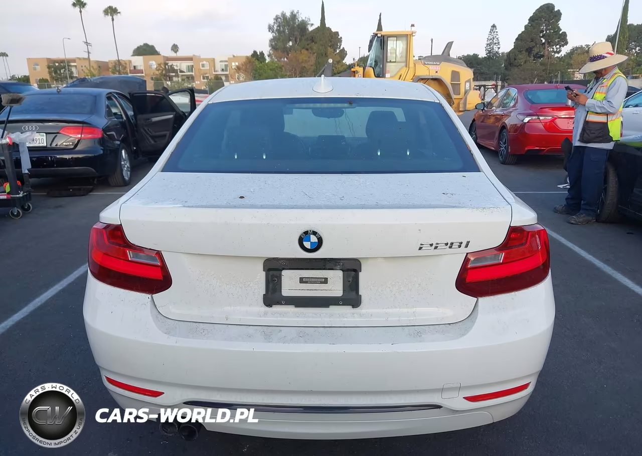 2016 BMW 228I VIN:WBA1F9C51GV742206 - 16