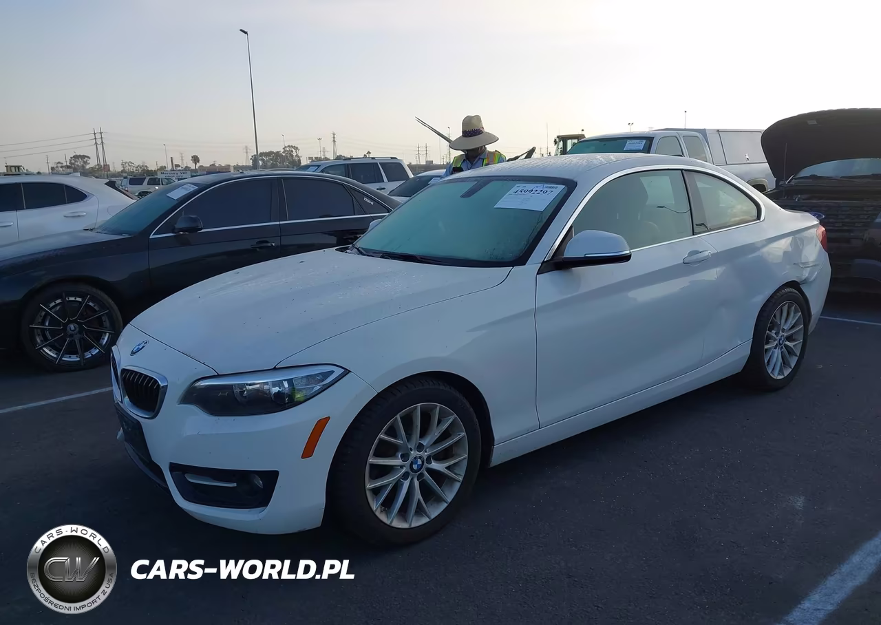 2016 BMW 228I VIN:WBA1F9C51GV742206 - 2