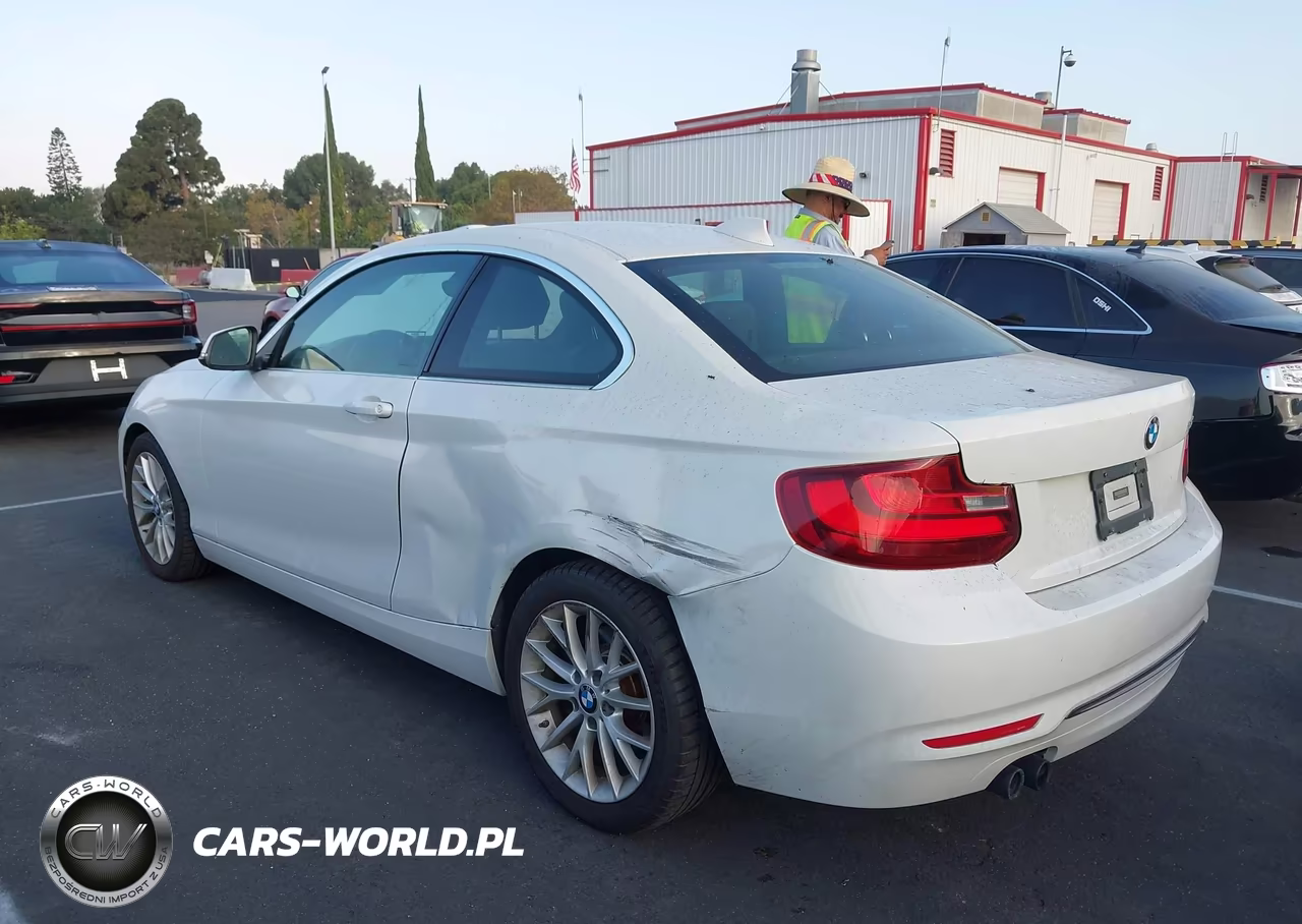 2016 BMW 228I VIN:WBA1F9C51GV742206 - 3