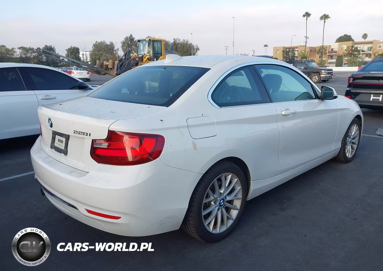 2016 BMW 228I VIN:WBA1F9C51GV742206 - 4