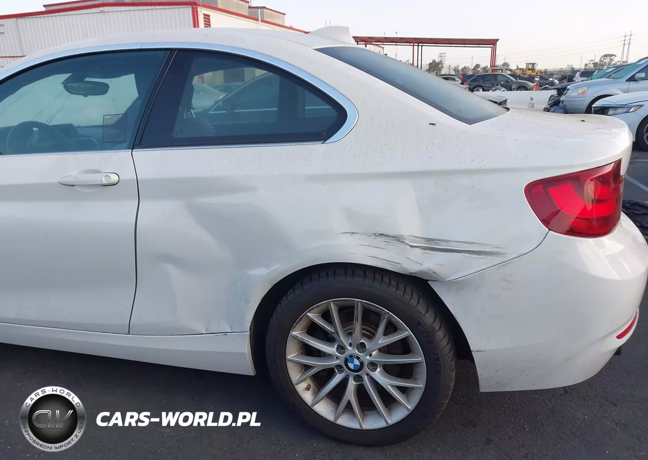 2016 BMW 228I VIN:WBA1F9C51GV742206 - 6