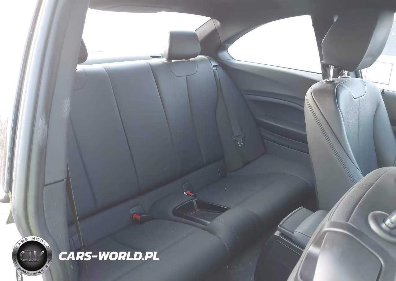 2016 BMW 228I VIN:WBA1F9C51GV742206 - 8