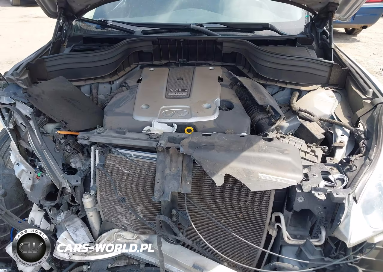 2017 Infiniti Qx50 VIN:JN1BJ0RP4HM390369 - 10