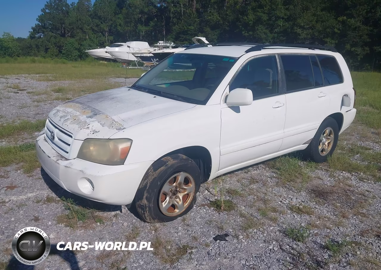 2004 Toyota Highlander VIN:JTEGD21A640085739 - 2