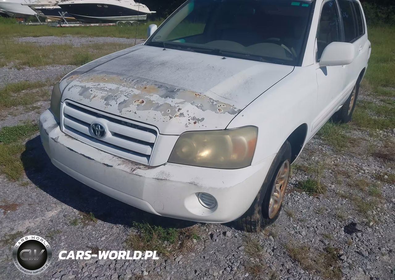 2004 Toyota Highlander VIN:JTEGD21A640085739 - 6