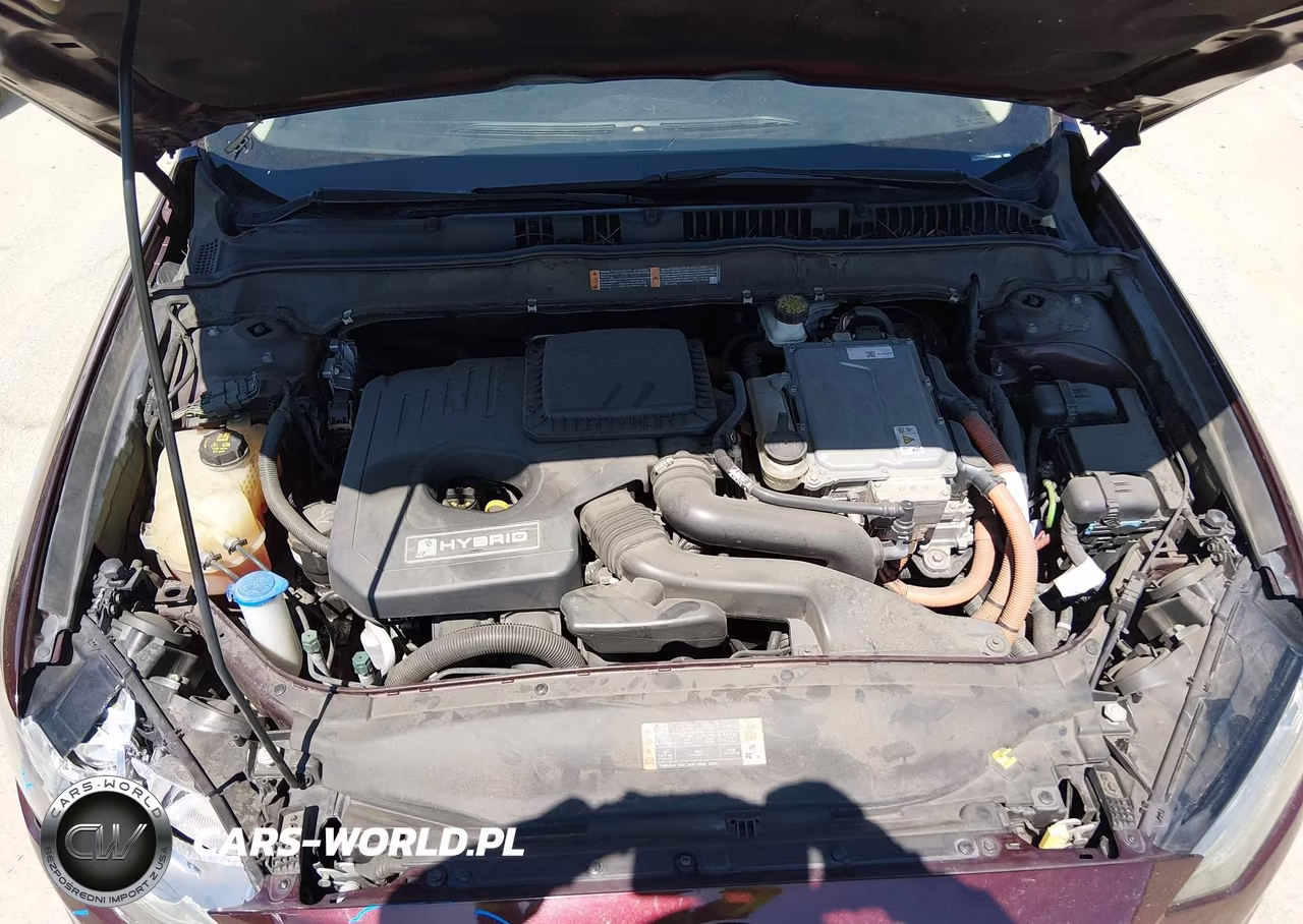 2017 Ford Fusion Hybrid Se VIN:3FA6P0LU0HR264566 - 10