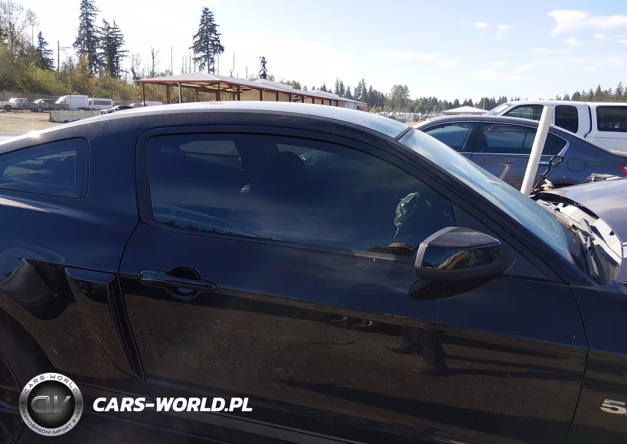 2013 Ford Mustang Gt Premium VIN:1ZVBP8CF2D5233578 - 14