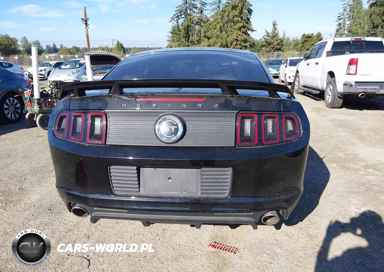 2013 Ford Mustang Gt Premium VIN:1ZVBP8CF2D5233578 - 17