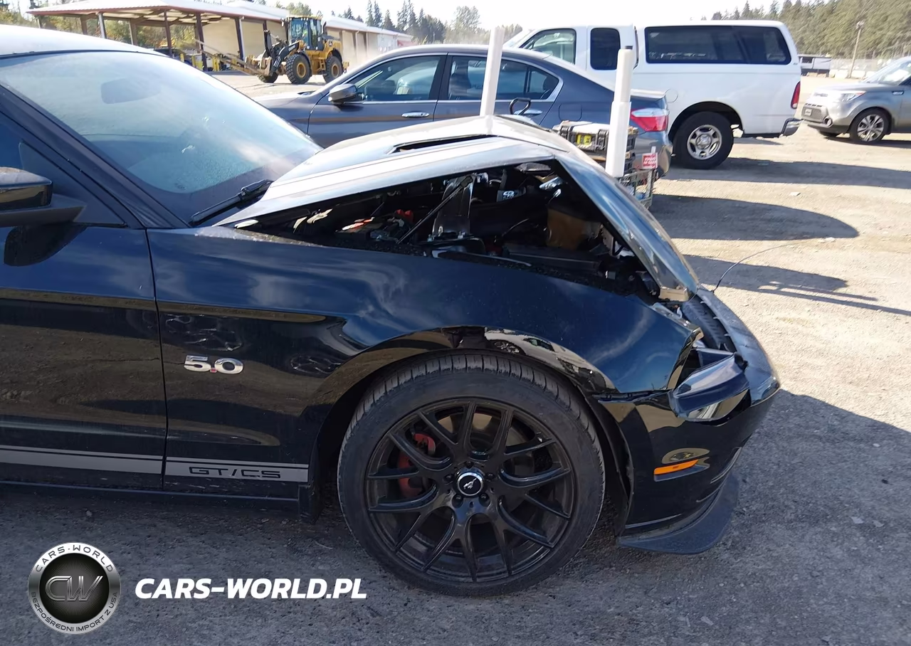 2013 Ford Mustang Gt Premium VIN:1ZVBP8CF2D5233578 - 18