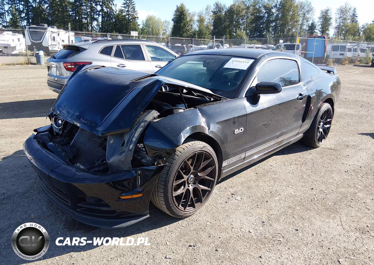 2013 Ford Mustang Gt Premium VIN:1ZVBP8CF2D5233578 - 2