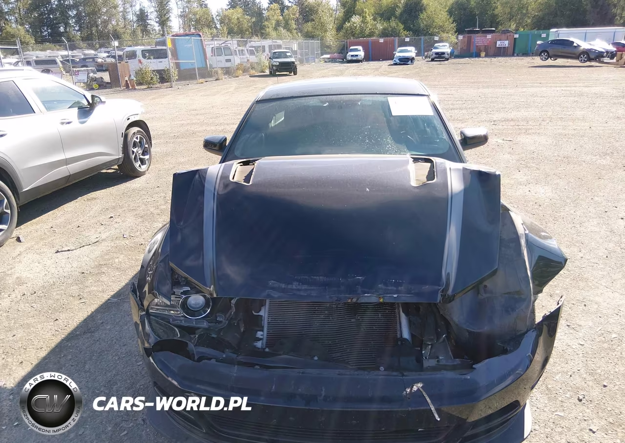 2013 Ford Mustang Gt Premium VIN:1ZVBP8CF2D5233578 - 20