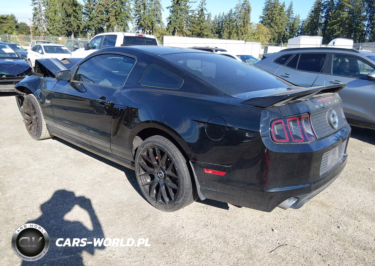 2013 Ford Mustang Gt Premium VIN:1ZVBP8CF2D5233578 - 3