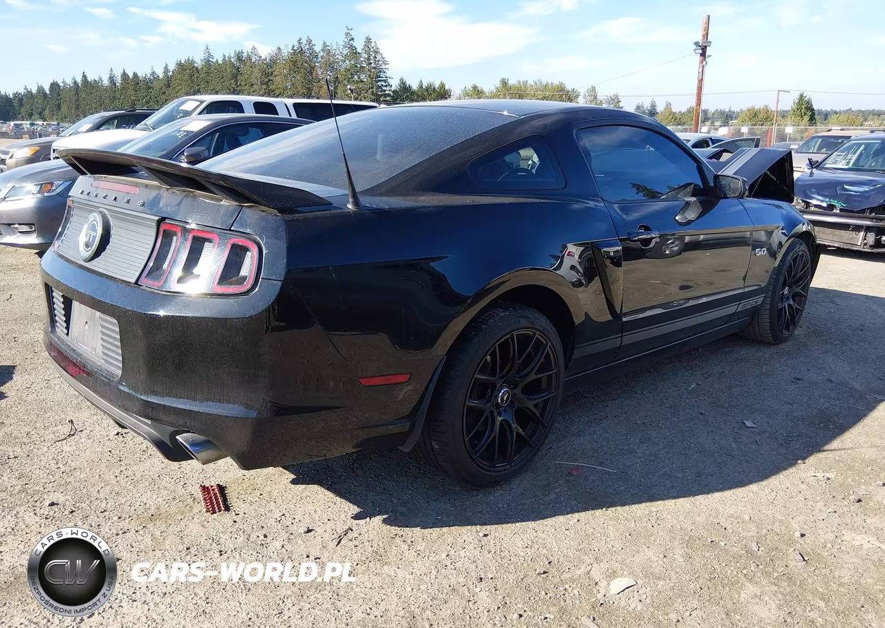 2013 Ford Mustang Gt Premium VIN:1ZVBP8CF2D5233578 - 4