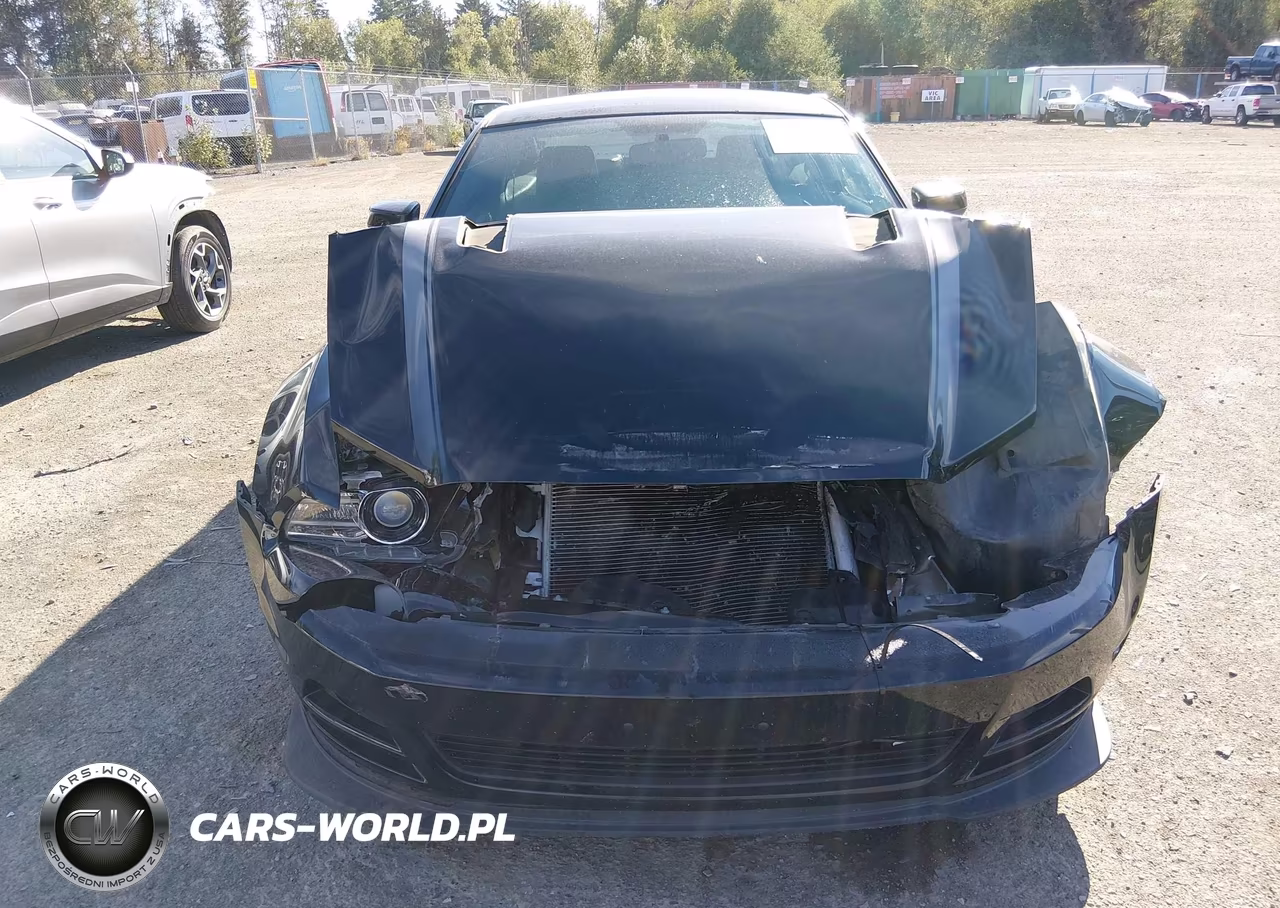 2013 Ford Mustang Gt Premium VIN:1ZVBP8CF2D5233578 - 6