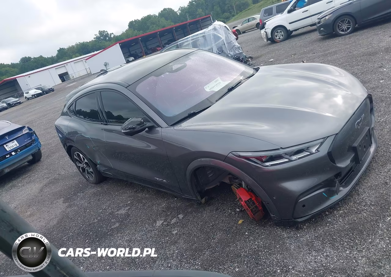 2021 Ford Mustang Mach-E Premium VIN:3FMTK3SU6MMA08093 - 13