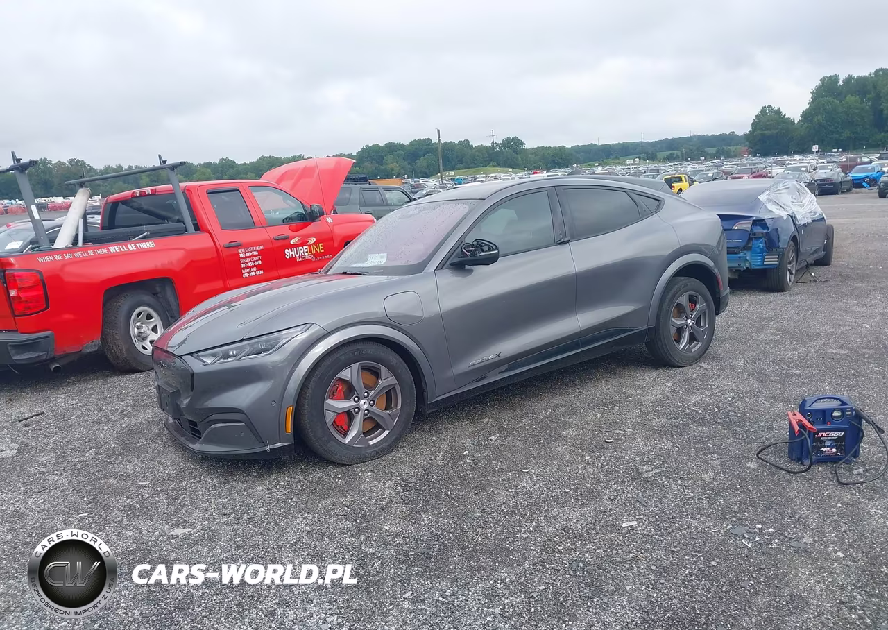 2021 Ford Mustang Mach-E Premium VIN:3FMTK3SU6MMA08093 - 2
