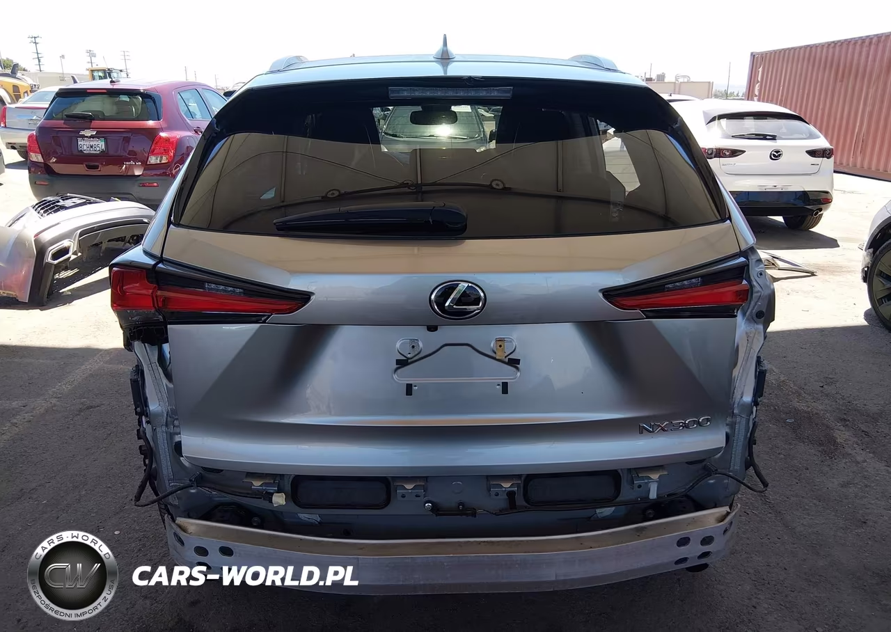 2021 Lexus Nx 300 VIN:JTJGARBZ1M2195383 - 17
