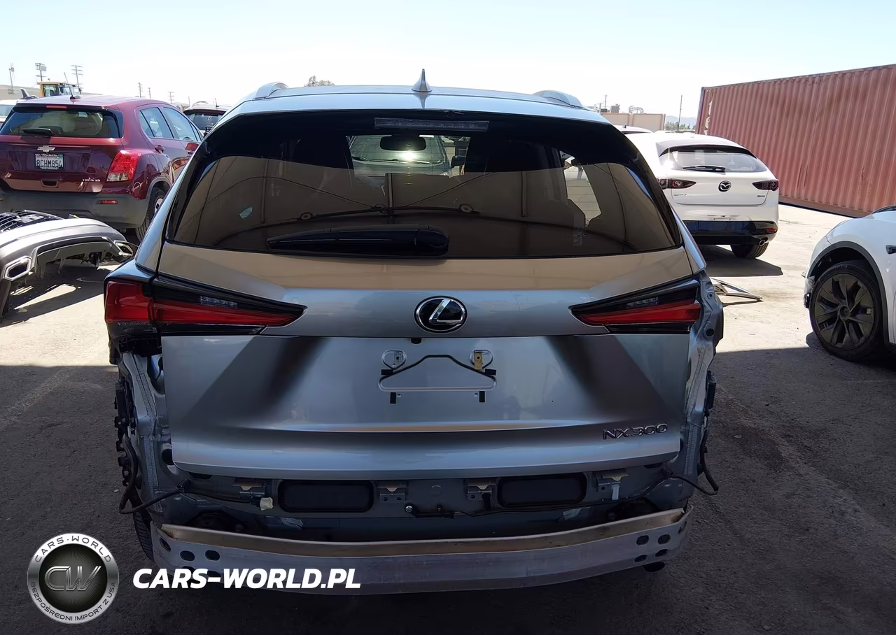2021 Lexus Nx 300 VIN:JTJGARBZ1M2195383 - 19