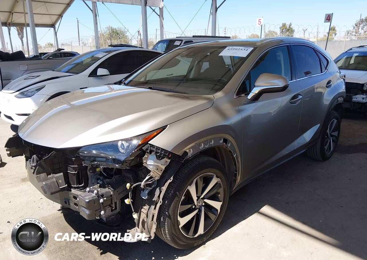 2021 Lexus Nx 300 VIN:JTJGARBZ1M2195383 - 2