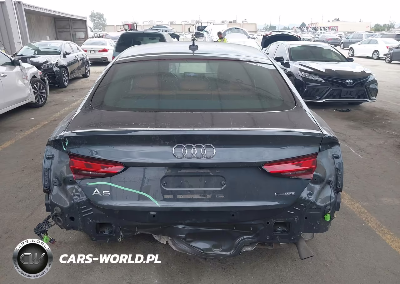2024 Audi A5 Sportback Premium Plus 40 Tfsi Quattro S Tronic VIN:WAUCBCF50RA048470 - 17
