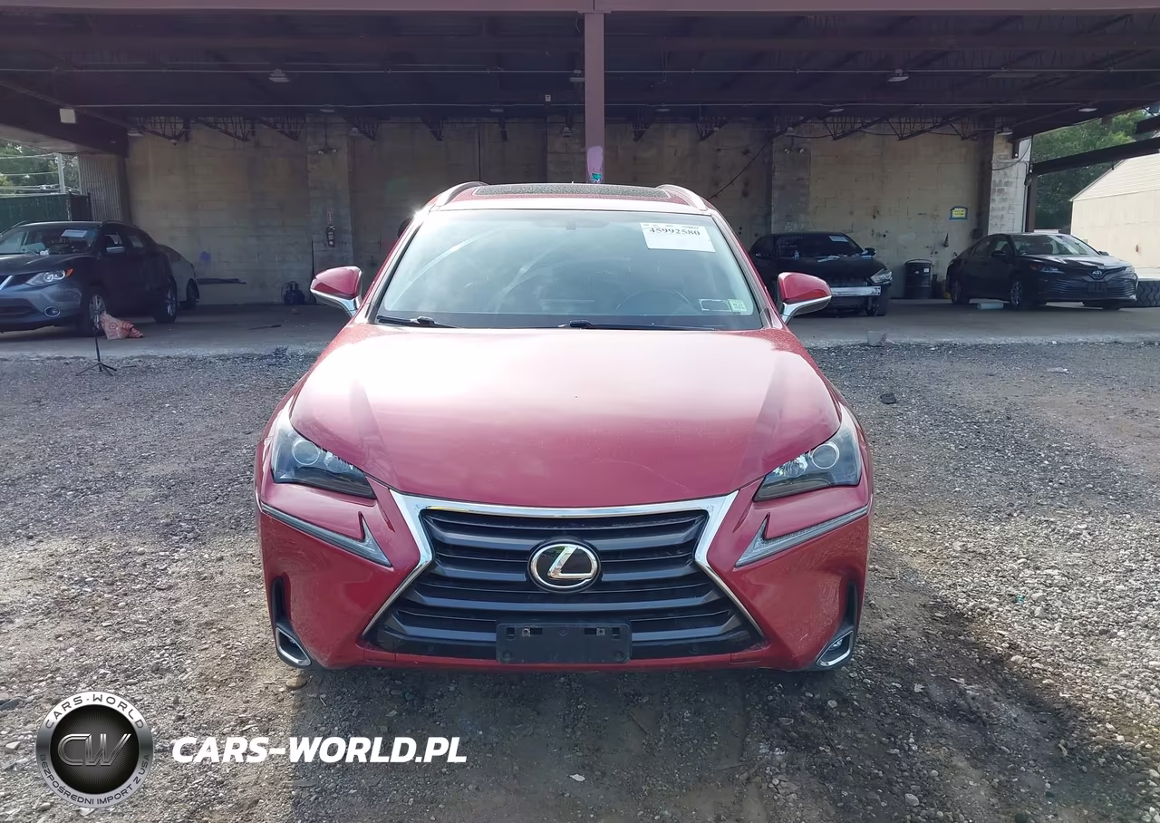 2017 Lexus Nx 200T VIN:JTJBARBZ6H2113843 - 12