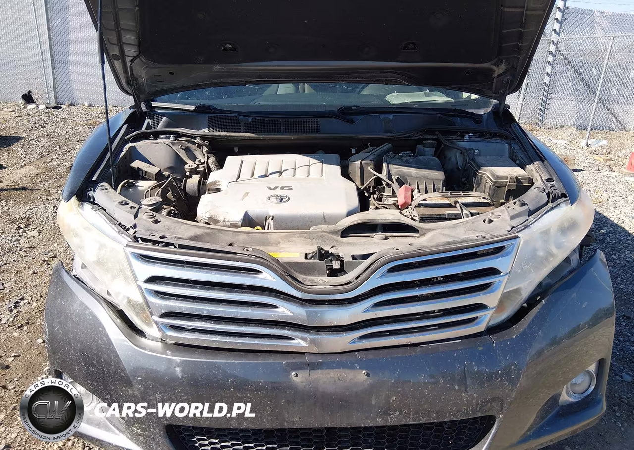 2009 Toyota Venza Base V6 VIN:4T3BK11A99U022264 - 10