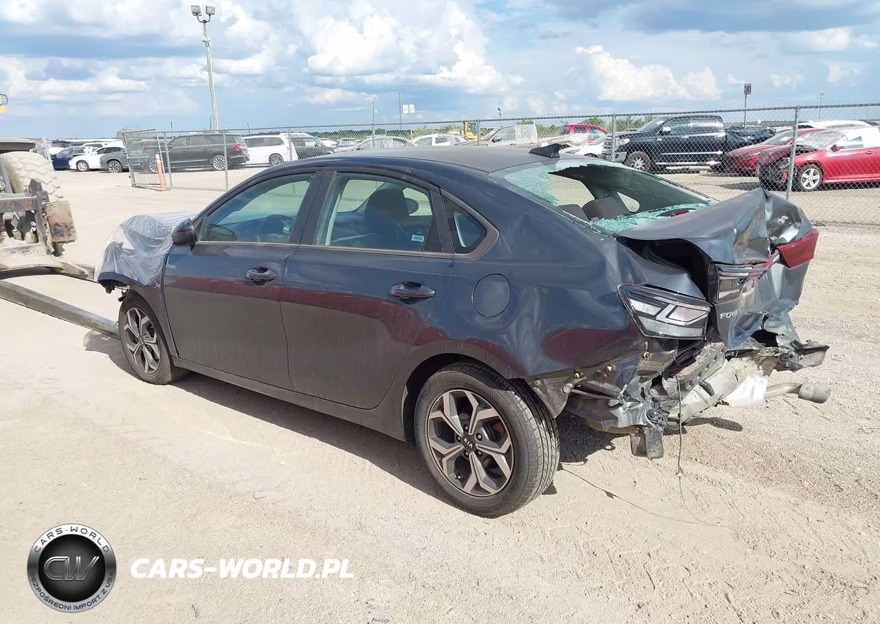 2019 Kia Forte Lxs VIN:3KPF24AD1KE035718 - 3
