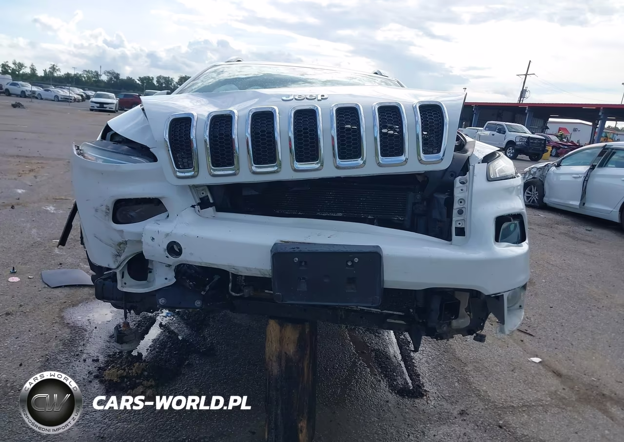 2014 Jeep Cherokee Limited VIN:1C4PJLDS7EW201147 - 13