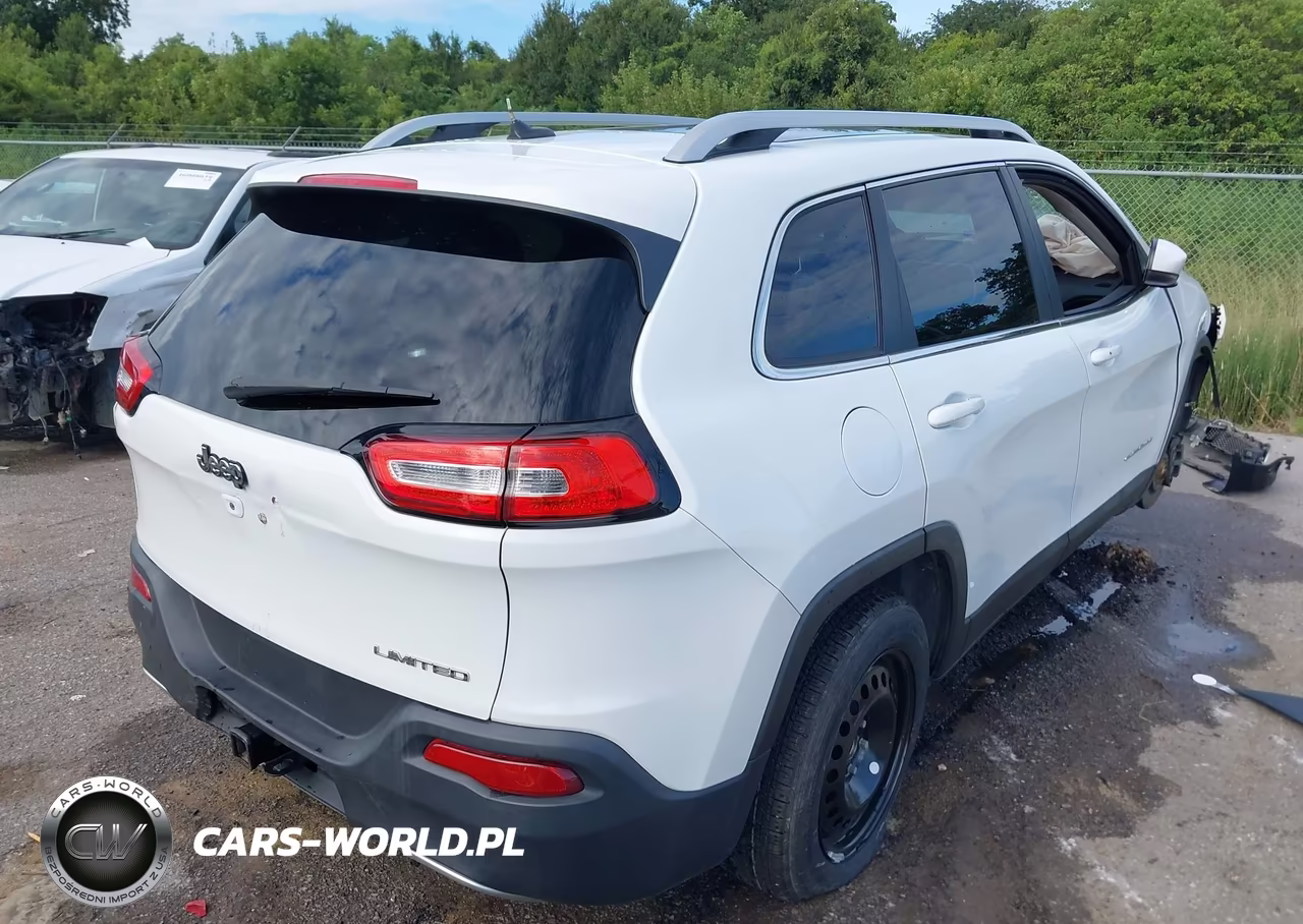 2014 Jeep Cherokee Limited VIN:1C4PJLDS7EW201147 - 4