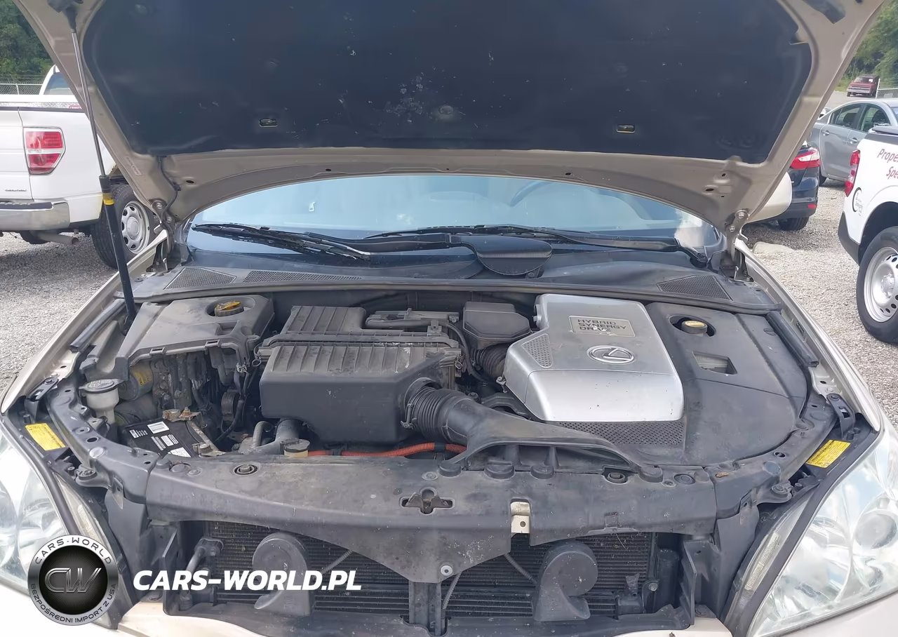2006 Lexus Rx 400H VIN:JTJHW31U260004612 - 10