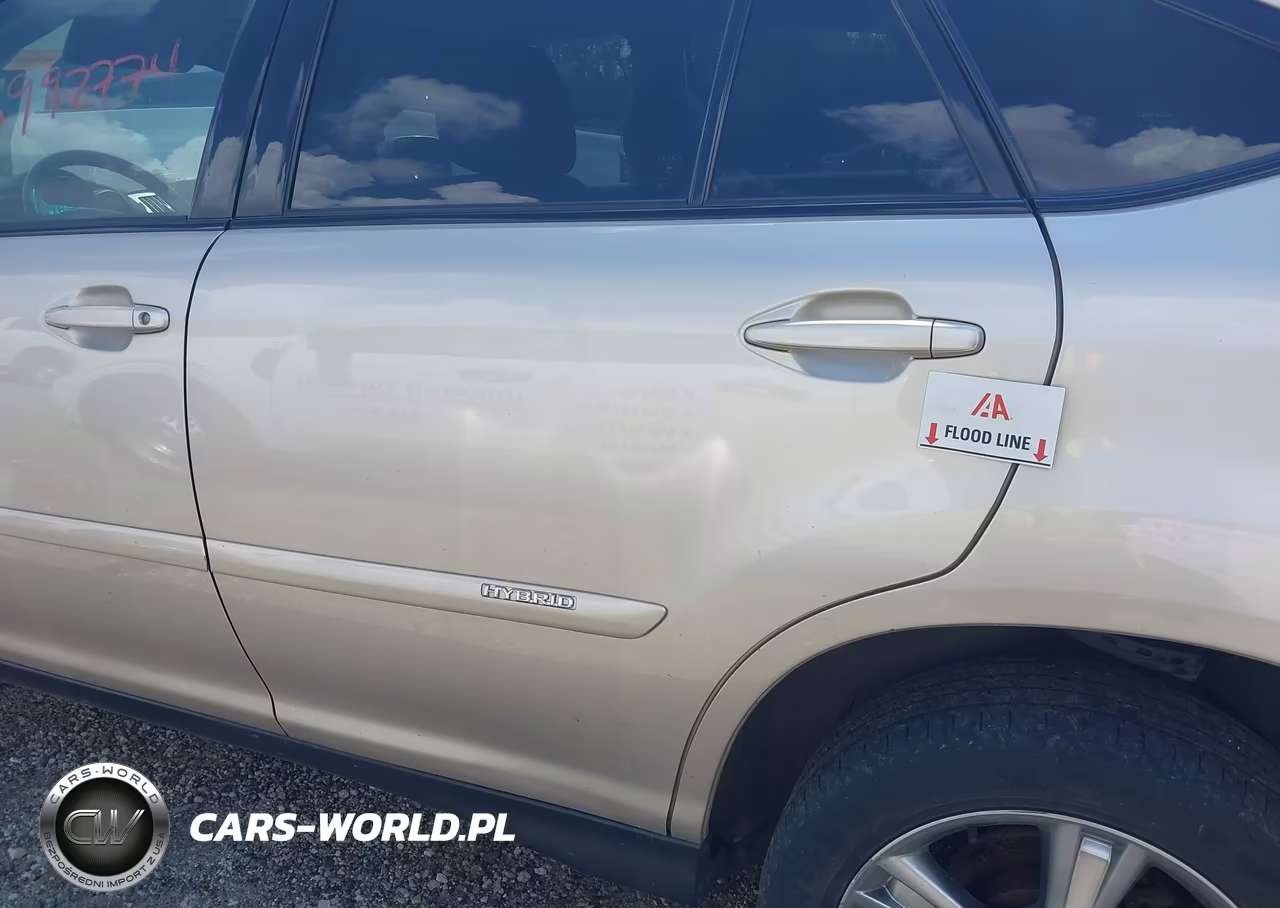 2006 Lexus Rx 400H VIN:JTJHW31U260004612 - 12