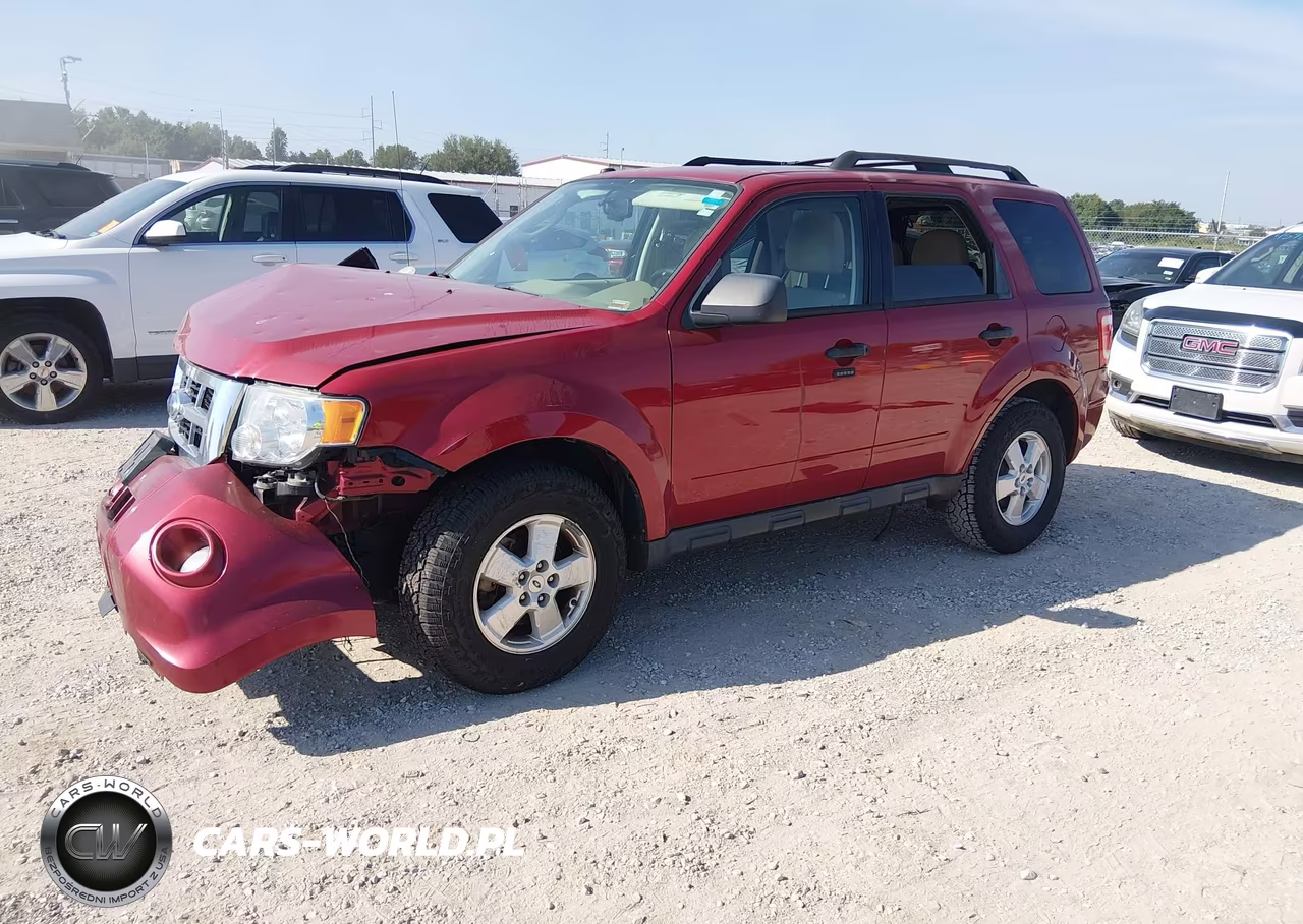 2011 Ford Escape Xlt VIN:1FMCU0DG4BKA07349 - 2