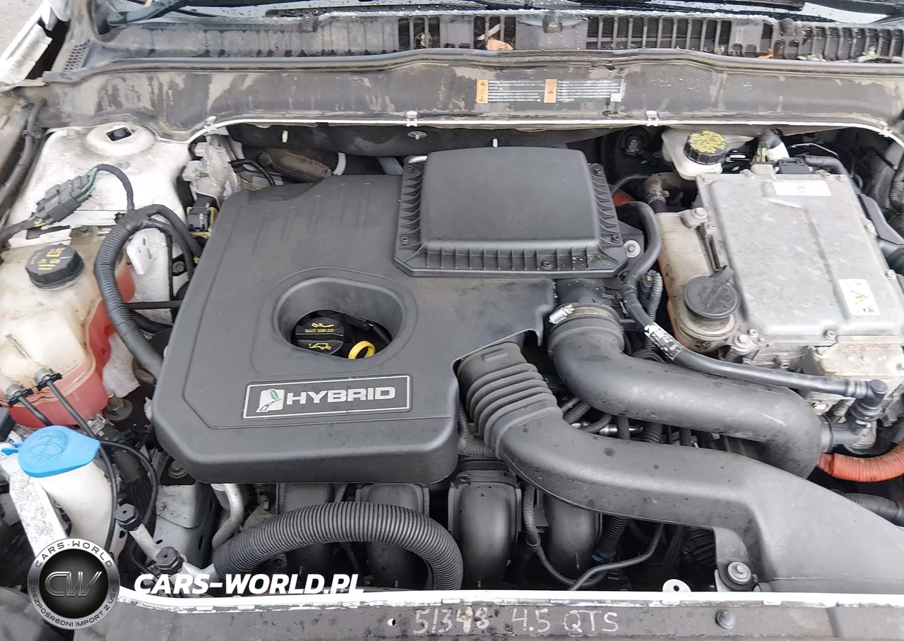 2013 Ford Fusion Hybrid Se VIN:3FA6P0LU9DR194432 - 10