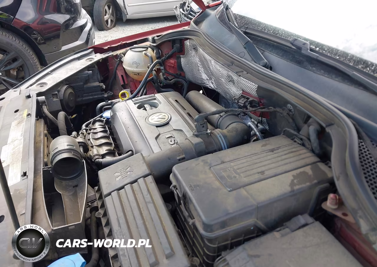 2014 Volkswagen Tiguan S VIN:WVGAV3AX1EW110221 - 10