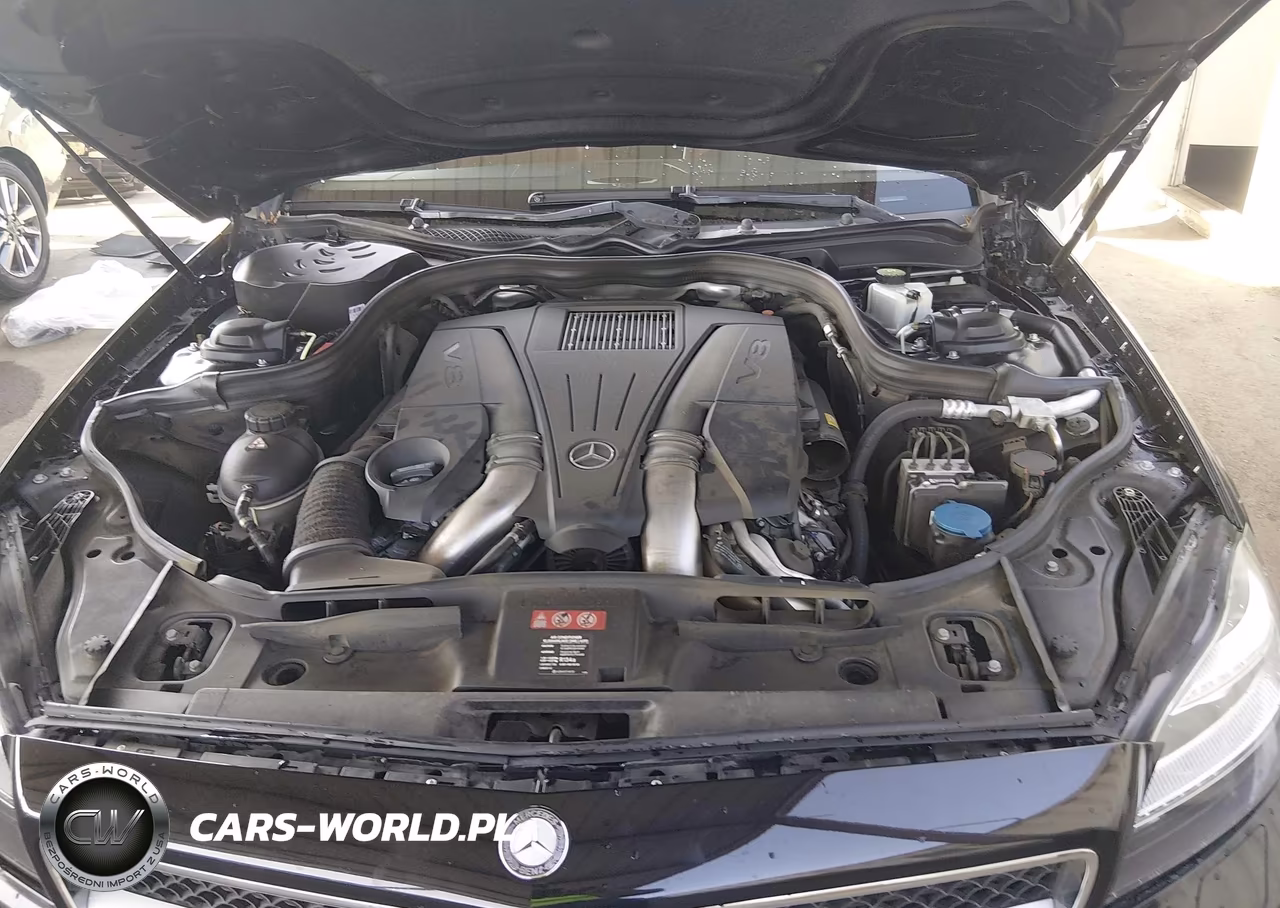 2013 Mercedes-Benz Cls 550 VIN:WDDLJ7DBXDA079004 - 10