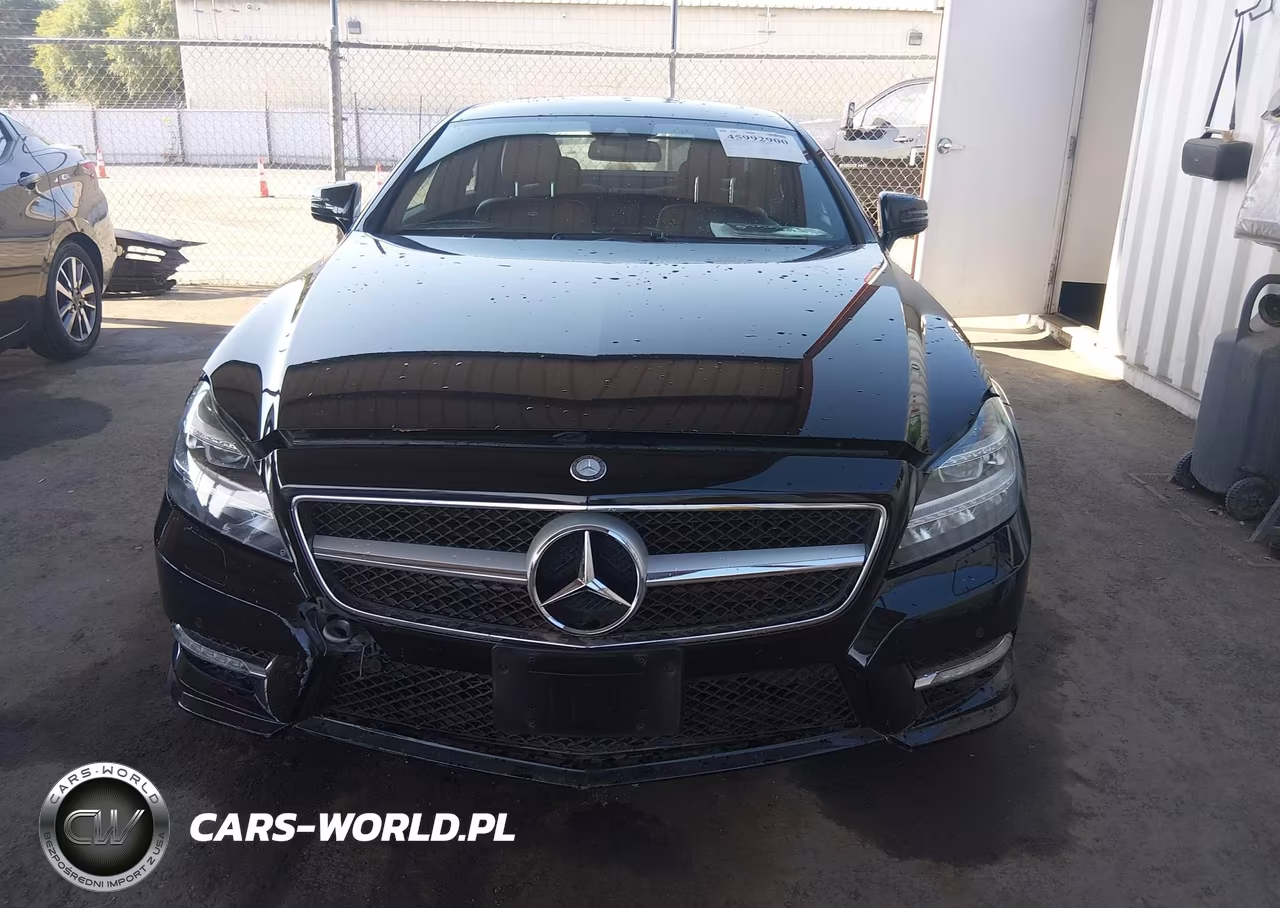 2013 Mercedes-Benz Cls 550 VIN:WDDLJ7DBXDA079004 - 12
