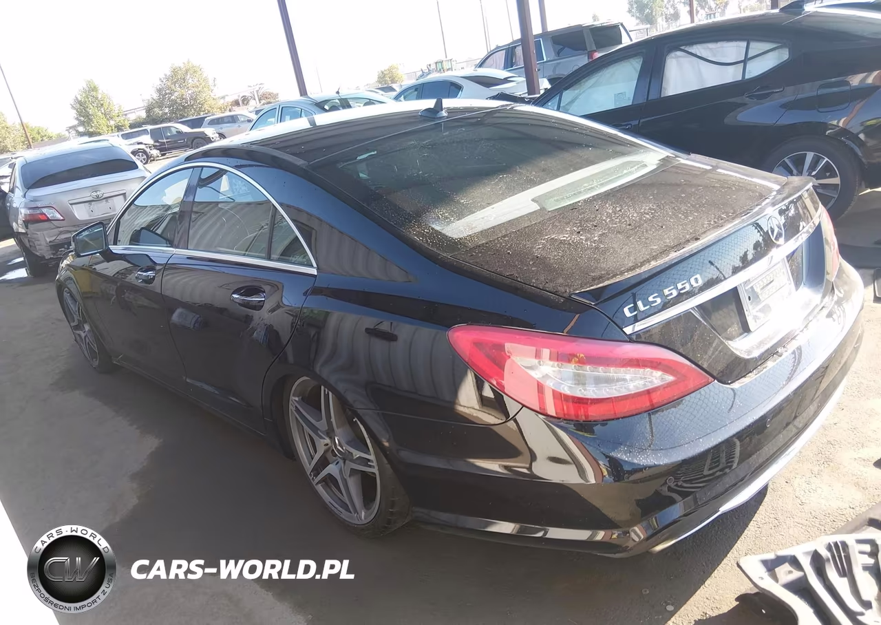 2013 Mercedes-Benz Cls 550 VIN:WDDLJ7DBXDA079004 - 14