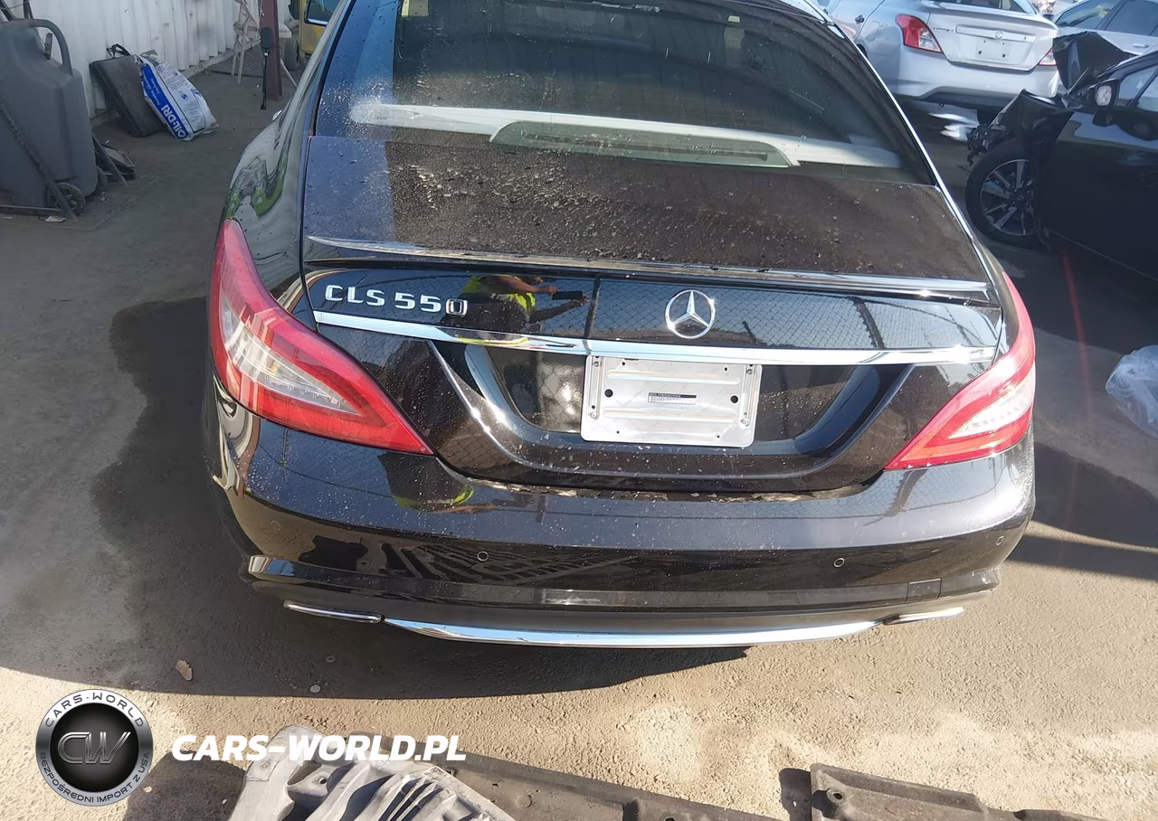 2013 Mercedes-Benz Cls 550 VIN:WDDLJ7DBXDA079004 - 16
