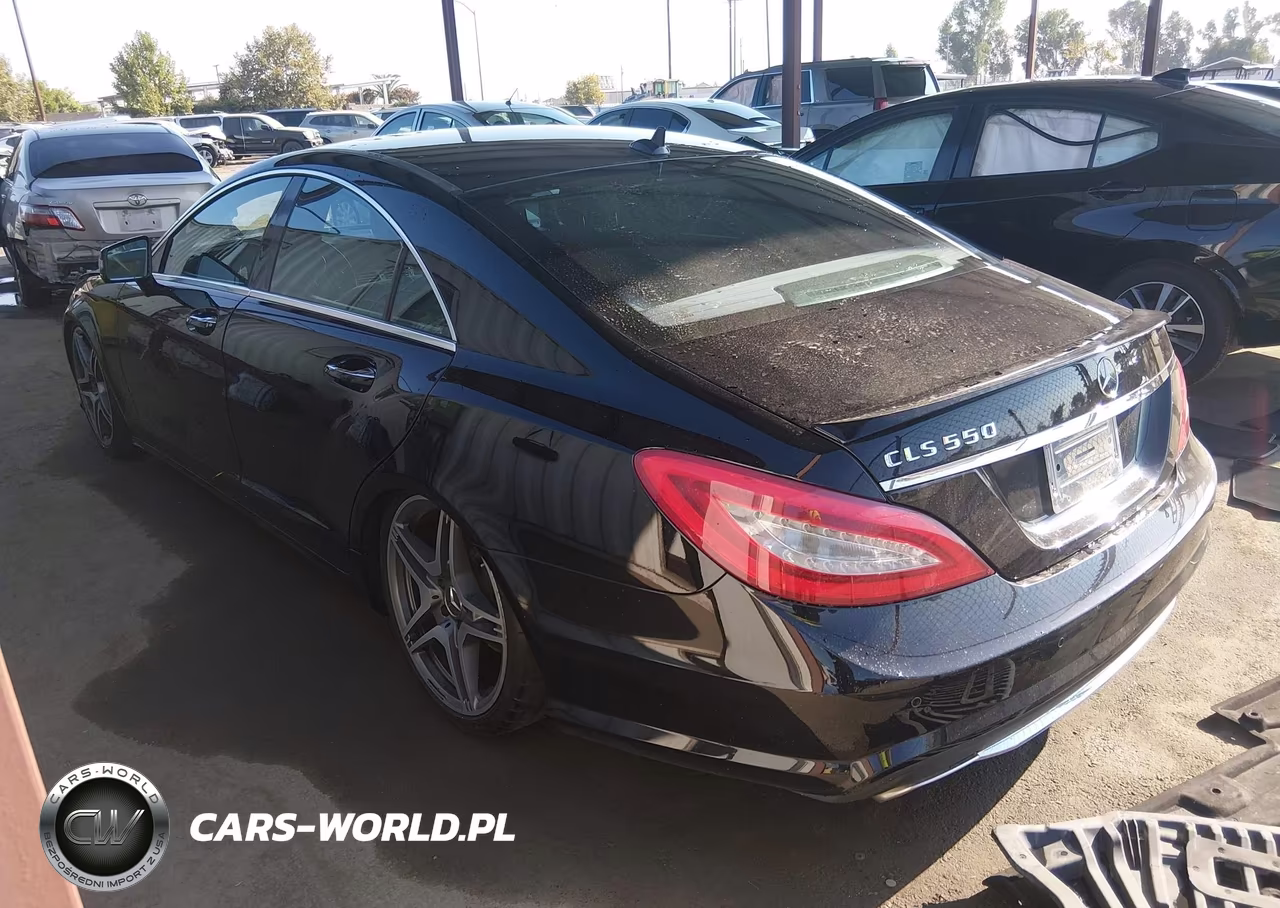 2013 Mercedes-Benz Cls 550 VIN:WDDLJ7DBXDA079004 - 3