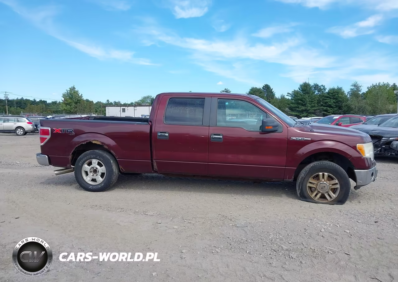 2010 Ford F-150 Fx4-Harley-Davidson-King Ranch-Lariat-Platinum-Xl-Xlt VIN:1FTFW1EV5AFC99762 - 13