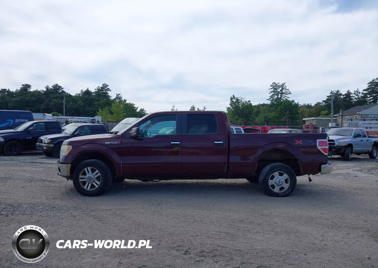 2010 Ford F-150 Fx4-Harley-Davidson-King Ranch-Lariat-Platinum-Xl-Xlt VIN:1FTFW1EV5AFC99762 - 14