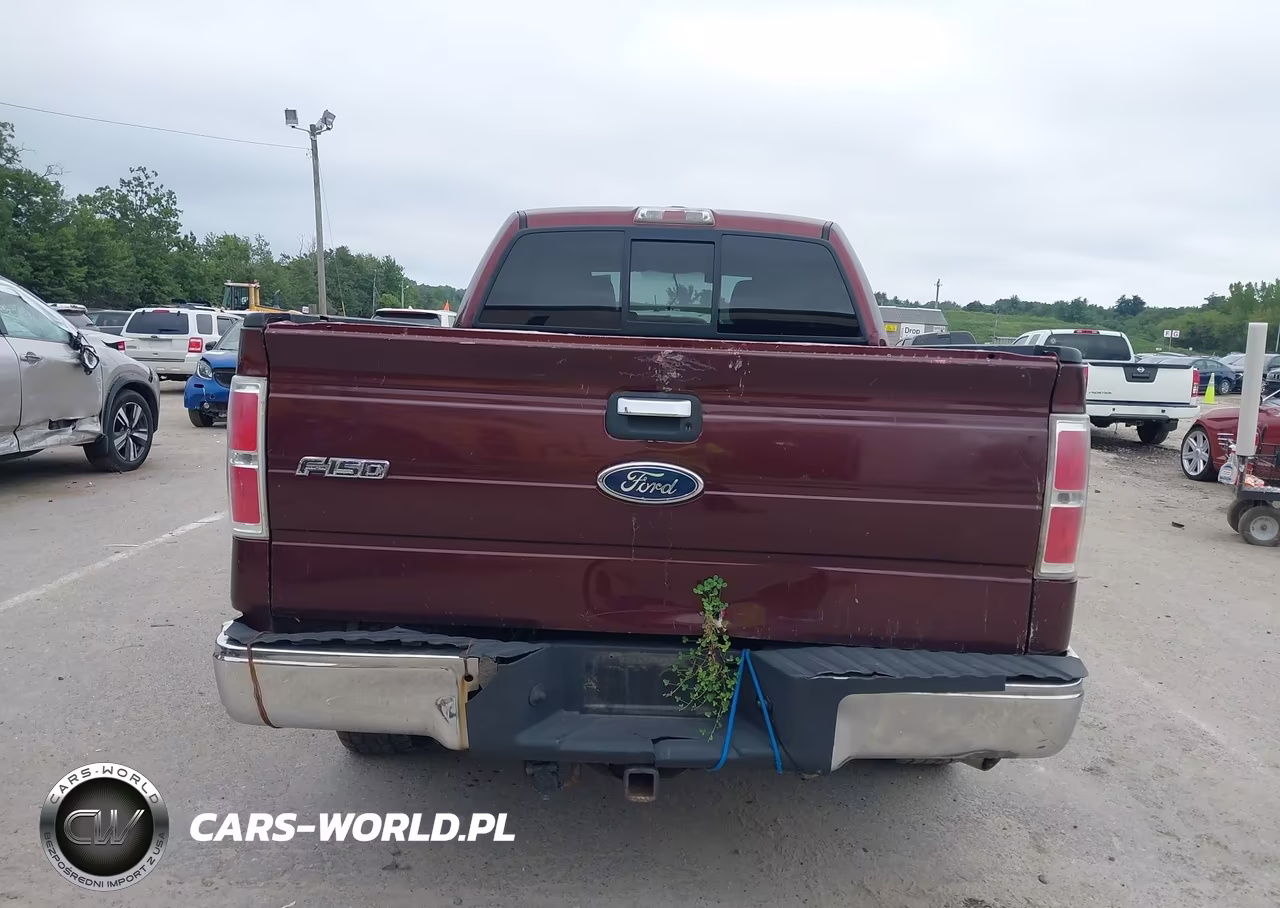 2010 Ford F-150 Fx4-Harley-Davidson-King Ranch-Lariat-Platinum-Xl-Xlt VIN:1FTFW1EV5AFC99762 - 16